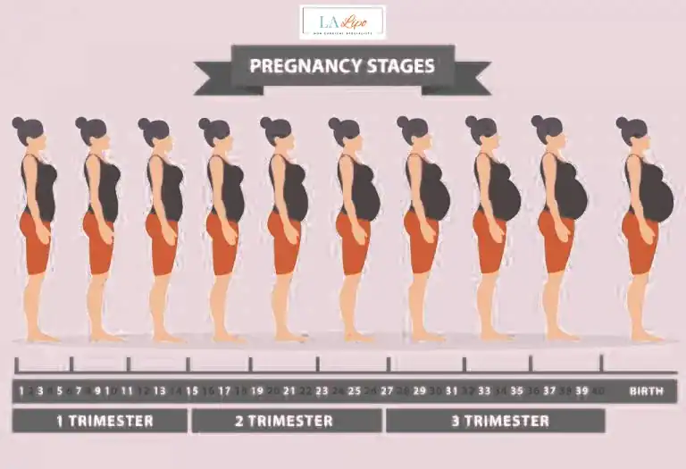 First Trimester (Weeks 1–12): Early Changes You Might Not Notice Lichfield